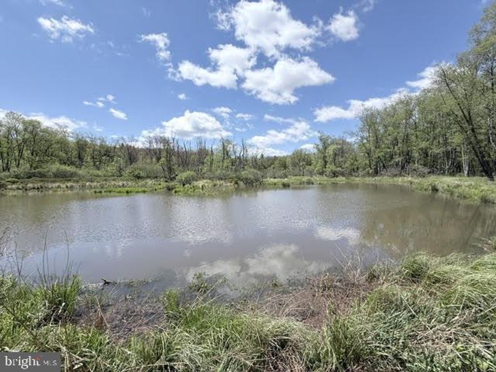 Image 18 of property listing at TURKEY NECK RD #LOT 12, Swanton, MD 21561