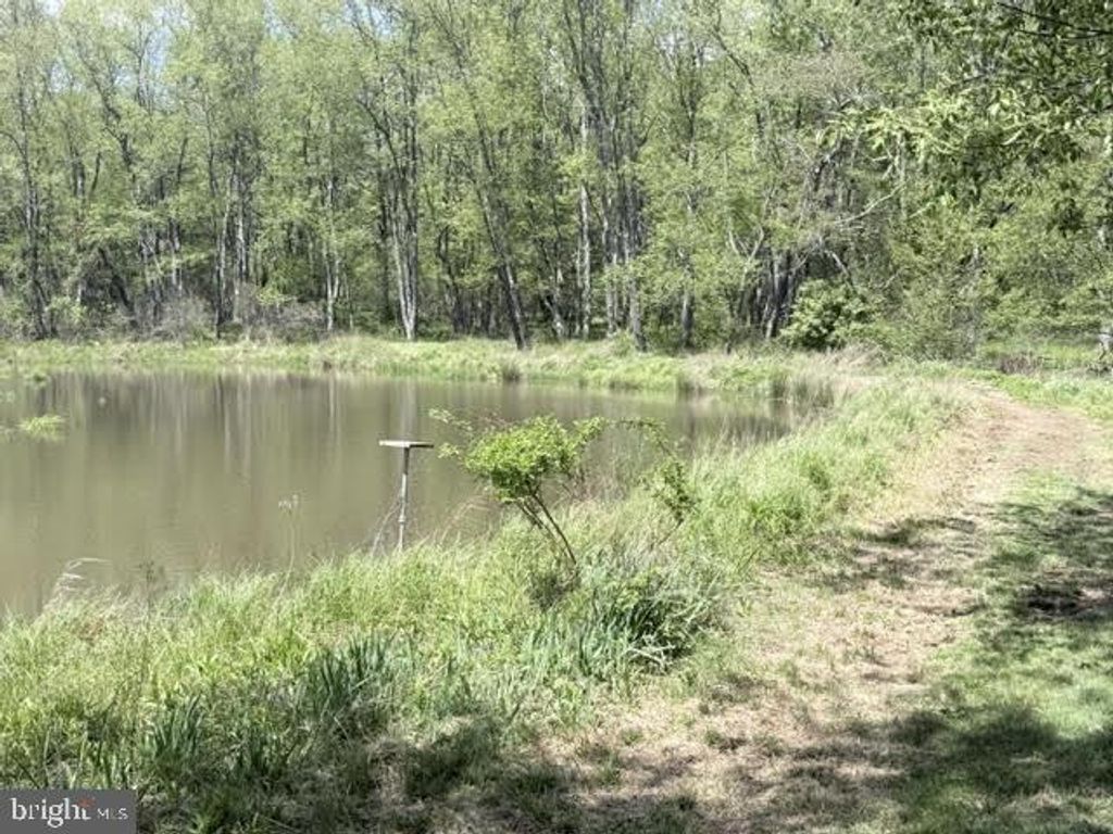Image 19 of property listing at TURKEY NECK RD #LOT 12, Swanton, MD 21561