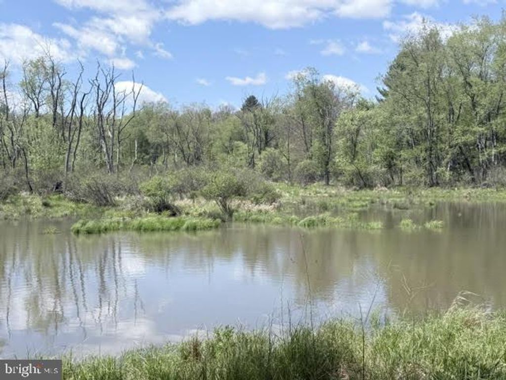 Image 20 of property listing at TURKEY NECK RD #LOT 12, Swanton, MD 21561