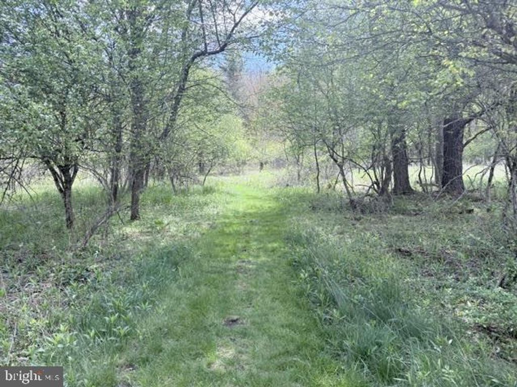 Image 21 of property listing at TURKEY NECK RD #LOT 12, Swanton, MD 21561