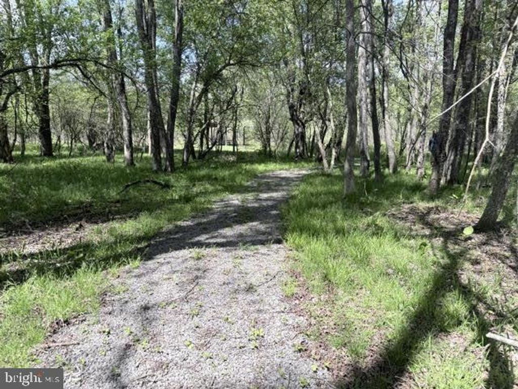 Image 23 of property listing at TURKEY NECK RD #LOT 12, Swanton, MD 21561