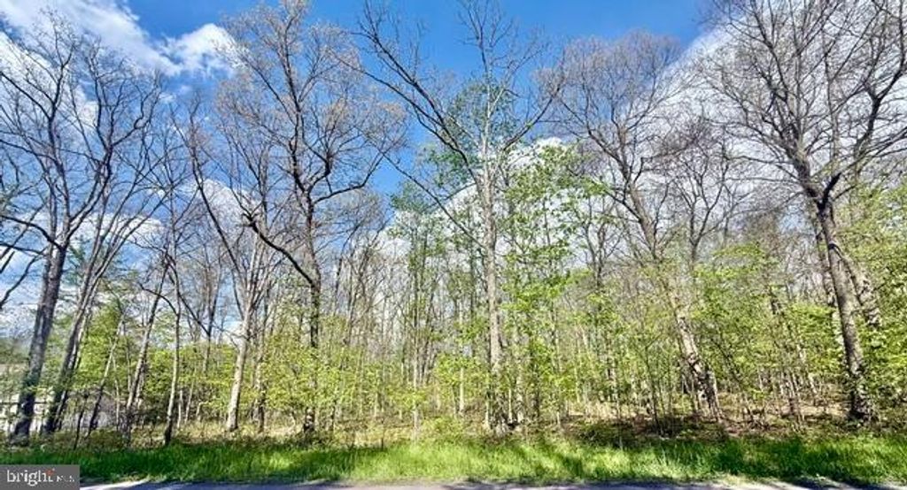 Image 2 of property listing at TURKEY NECK RD #LOT 12, Swanton, MD 21561