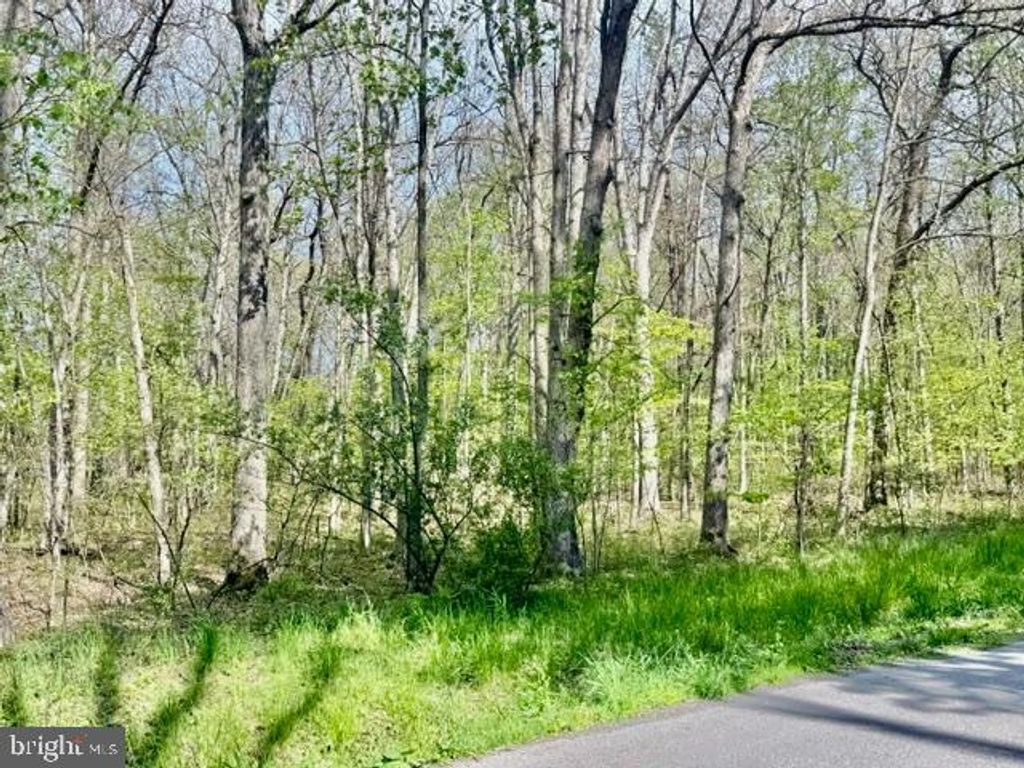 Image 3 of property listing at TURKEY NECK RD #LOT 12, Swanton, MD 21561