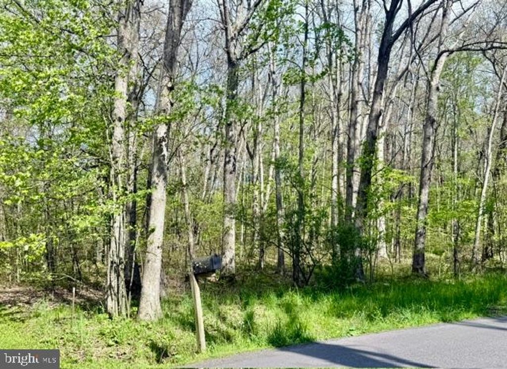 Image 5 of property listing at TURKEY NECK RD #LOT 12, Swanton, MD 21561