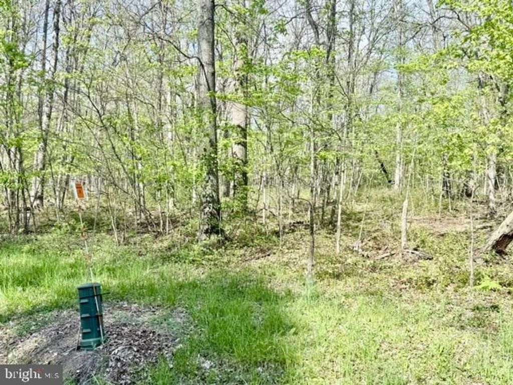 Image 6 of property listing at TURKEY NECK RD #LOT 12, Swanton, MD 21561