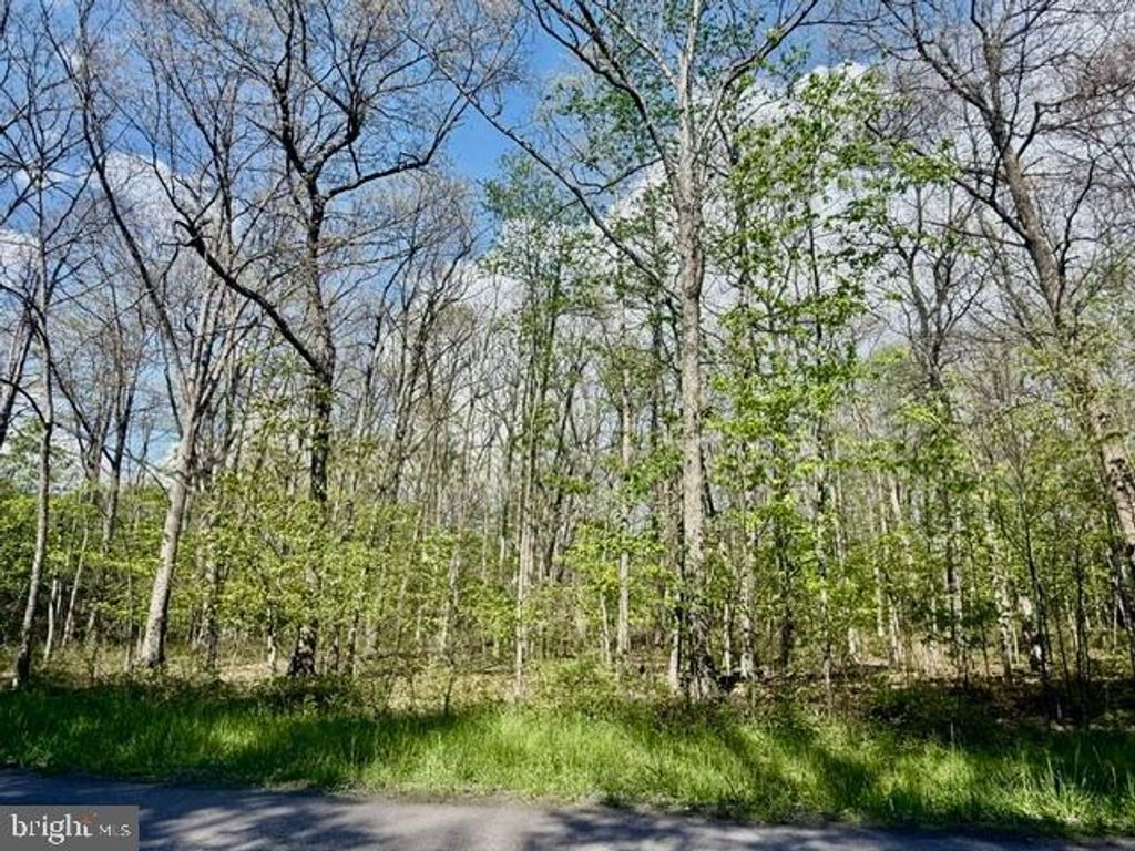 Image 8 of property listing at TURKEY NECK RD #LOT 12, Swanton, MD 21561