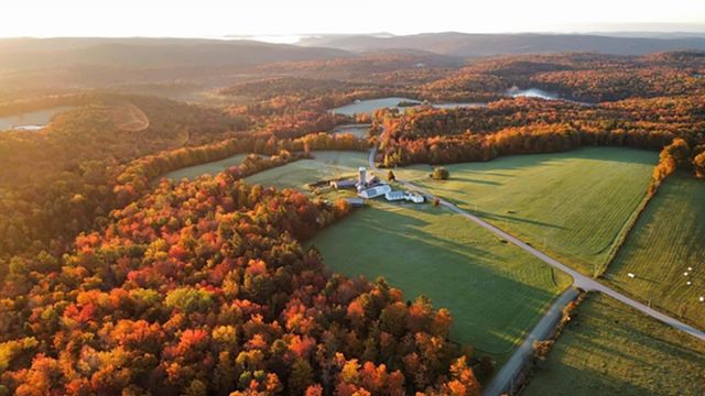 2245 Burrington Hill Road, Whitingham, VT 05361