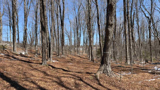 2245 Burrington Hill Road, Whitingham, VT 05361