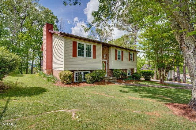 258 Overhill Drive, Jonesborough, TN 37659