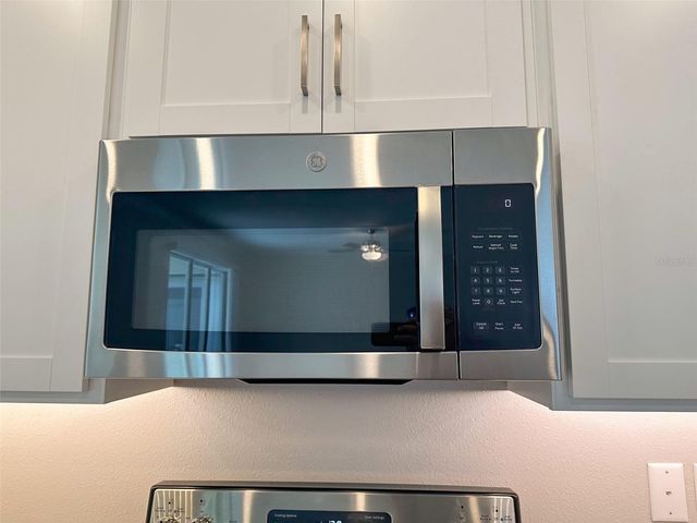 17216 MANGO SHAY COURT, Land O Lakes, FL 34638