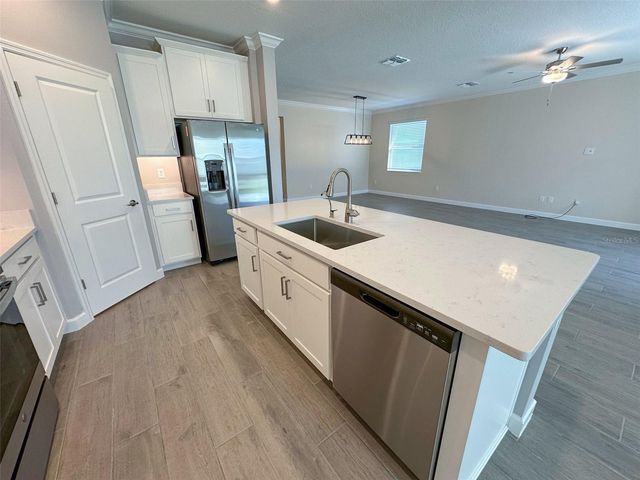 17216 MANGO SHAY COURT, Land O Lakes, FL 34638