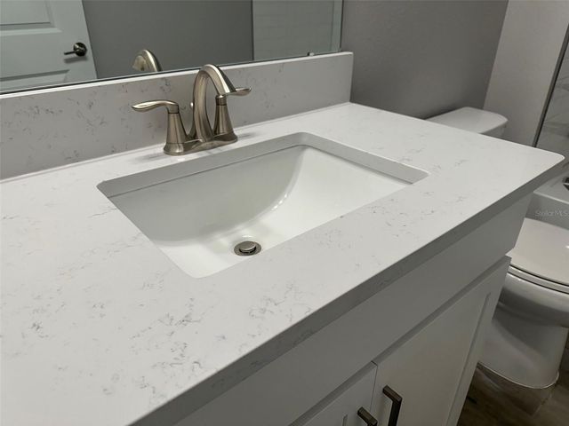 17216 MANGO SHAY COURT, Land O Lakes, FL 34638