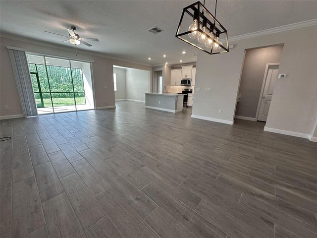 17216 MANGO SHAY COURT, Land O Lakes, FL 34638