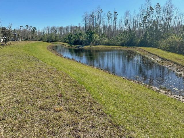 17216 MANGO SHAY COURT, Land O Lakes, FL 34638