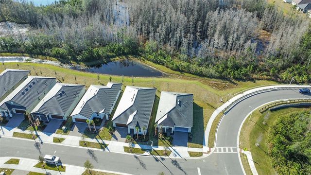 17216 MANGO SHAY COURT, Land O Lakes, FL 34638