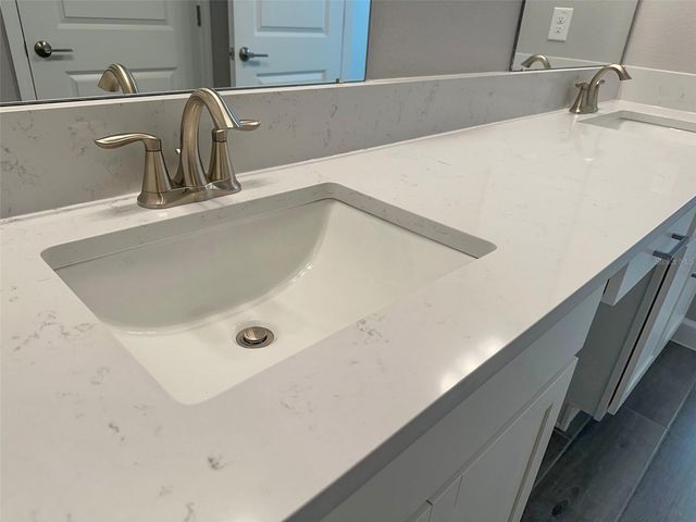 17216 MANGO SHAY COURT, Land O Lakes, FL 34638