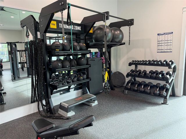 17216 MANGO SHAY COURT, Land O Lakes, FL 34638