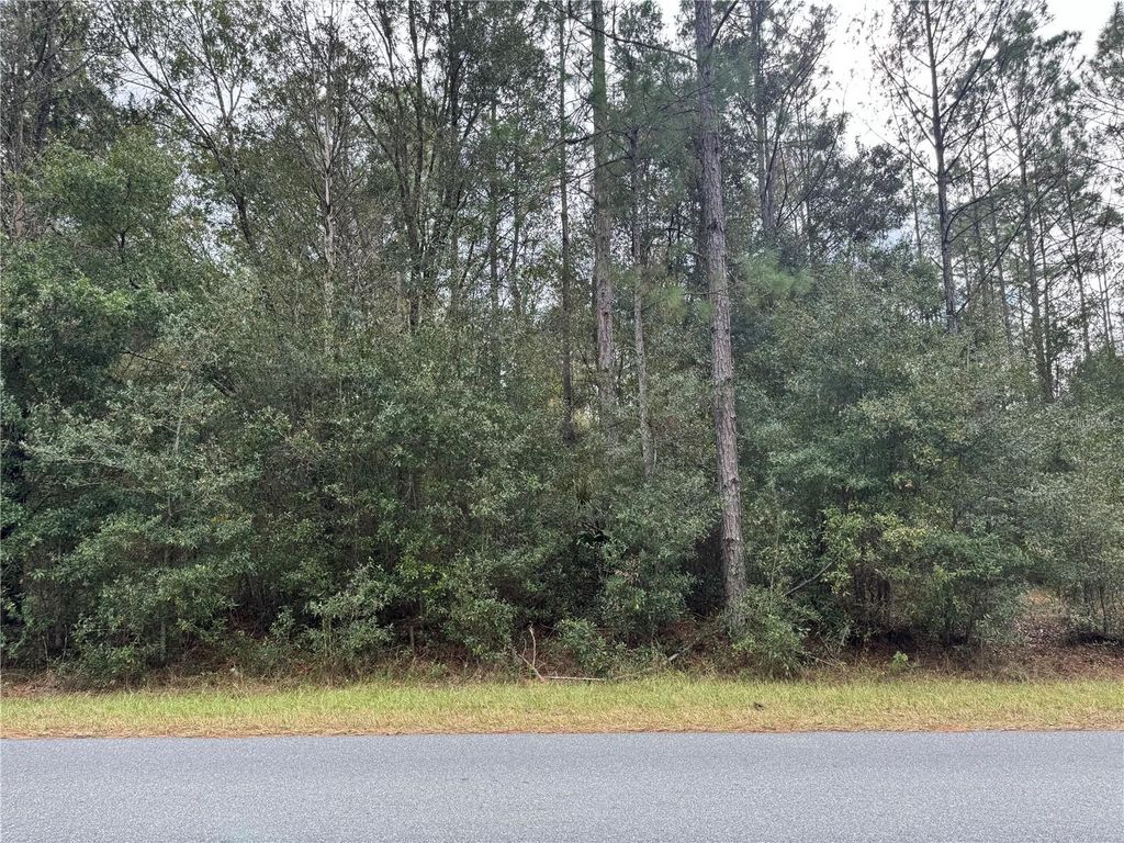 SW BEACH BOULEVARD, Dunnellon, FL 34431