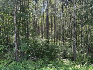 Lot 1 W Nelson Lake Road, Hayward, WI 54843