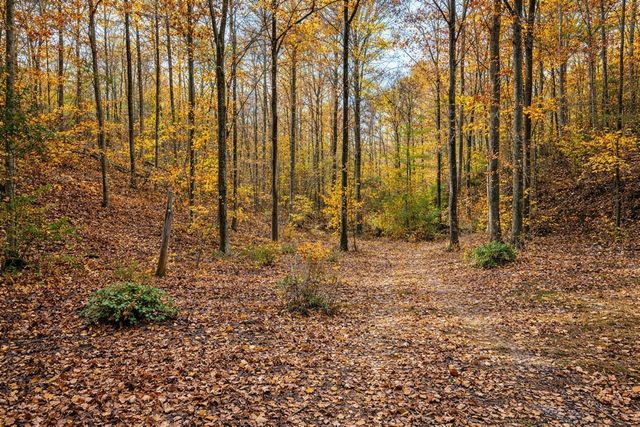 1135 Mink Branch Rd, Waynesboro, TN 38485