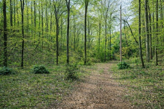 1135 Mink Branch Rd, Waynesboro, TN 38485