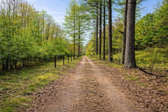 1135 Mink Branch Rd, Waynesboro, TN 38485