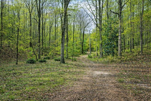 1135 Mink Branch Rd, Waynesboro, TN 38485
