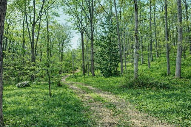 1135 Mink Branch Rd, Waynesboro, TN 38485