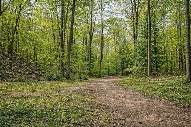 1135 Mink Branch Rd, Waynesboro, TN 38485