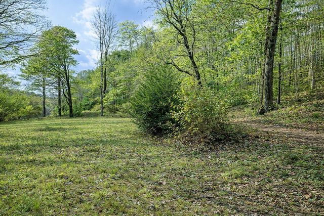 1135 Mink Branch Rd, Waynesboro, TN 38485