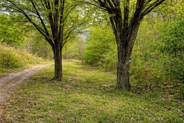 1135 Mink Branch Rd, Waynesboro, TN 38485
