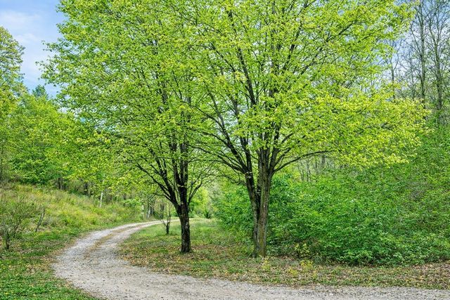 1135 Mink Branch Rd, Waynesboro, TN 38485