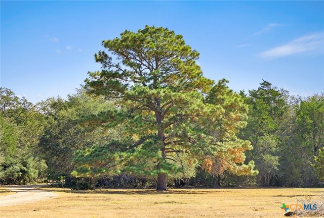 340 Mark Young Road, Smithville, TX 78957