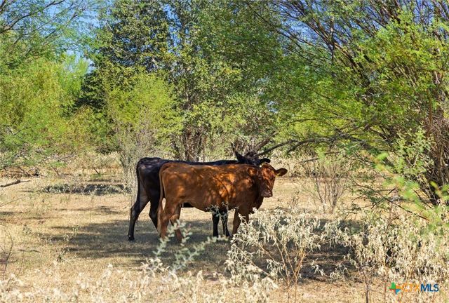 340 Mark Young Road, Smithville, TX 78957