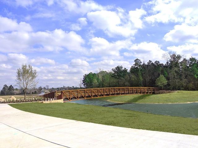 309 Lochvale Peak Court, Montgomery, TX 77316