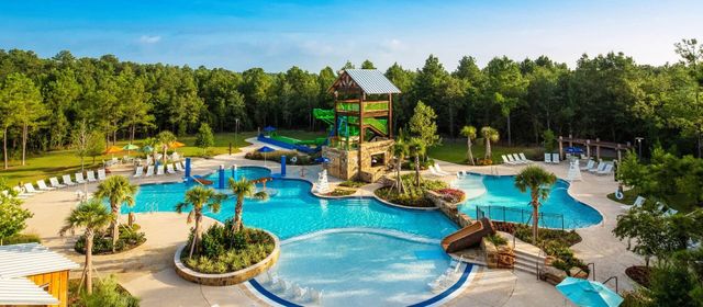 309 Lochvale Peak Court, Montgomery, TX 77316