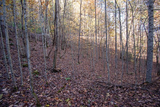 Lot 66 Choctaw Ridge Trail, Murphy, NC 28906