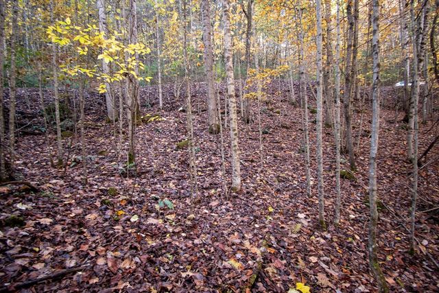 Lot 66 Choctaw Ridge Trail, Murphy, NC 28906