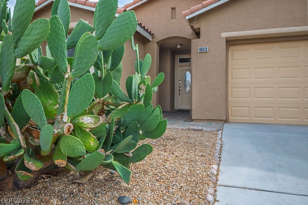 10513 Shanna Trellis Avenue, Las Vegas, NV 89144 — photo 4
