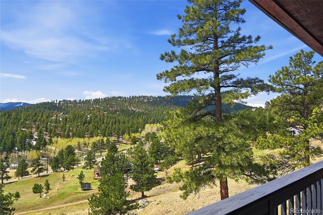 33254 Bergen Mountain Road, Evergreen, CO 80439