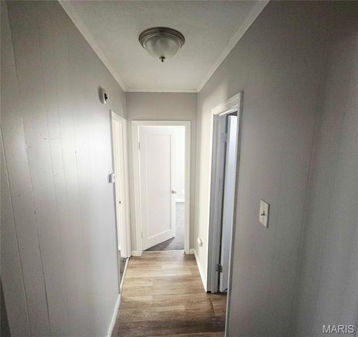 491 Adrian Drive, St Louis, MO 63137