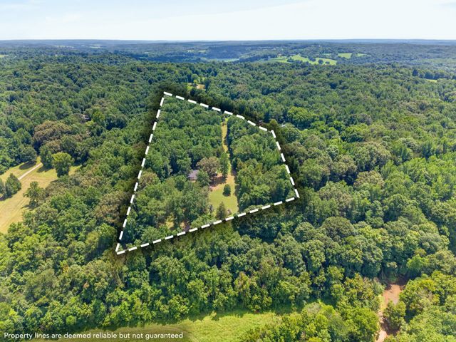 3450 Chapmans Cir, Palmyra, TN 37142