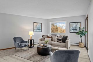 2485 Canabury Drive 212, Little Canada, MN 55117