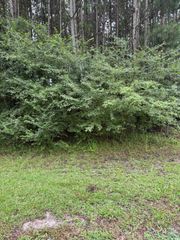 TBD Louisville Rd., Aynor, SC 29511
