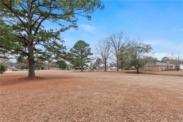 13392 Lakewood, Northport, AL 35473