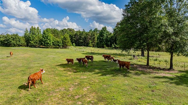 7635 N US Highway 271, Mt Pleasant, TX 75455