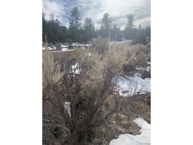 5401 Balleroy Rd, Fort Garland, CO 81133