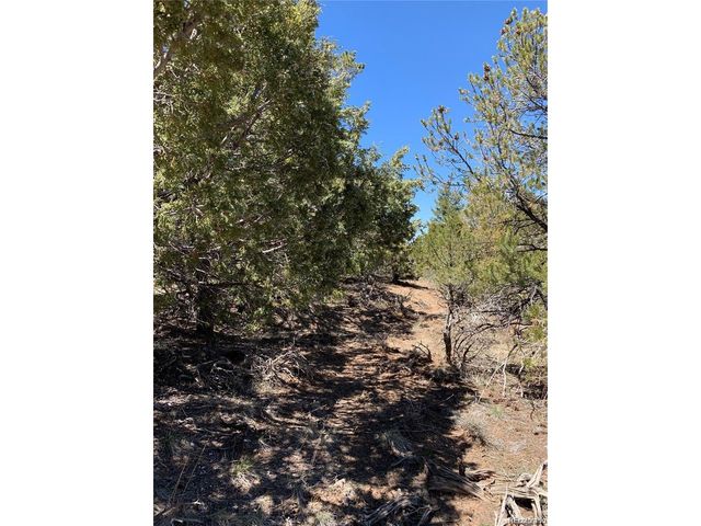 5401 Balleroy Rd, Fort Garland, CO 81133