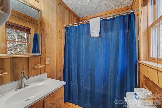 306 Forget Me Not Lane, Whittier, NC 28789