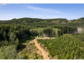 0 Conyers Creek, Clatskanie, OR 97016